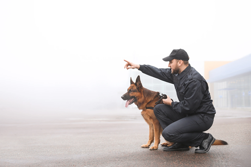 security guard services